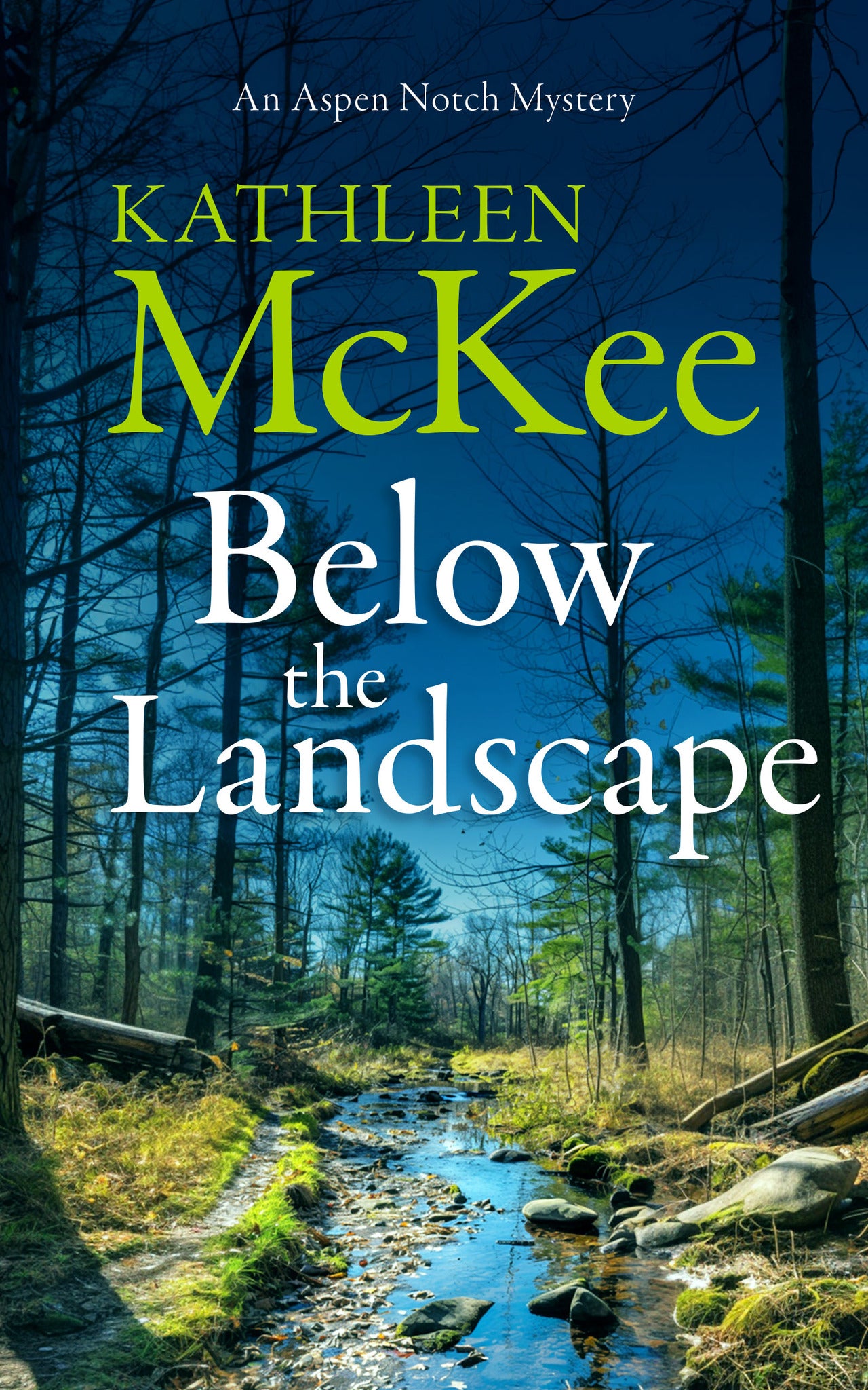 Below the Landscape